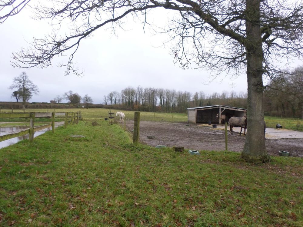 � vendre  Maison Saint-Martin-Choquel (62240)