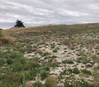  Terrain � vendre 1713 m�