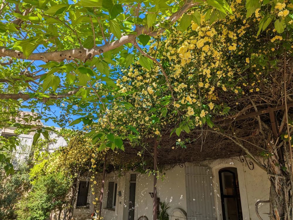 � vendre  Maison Orange (84100)