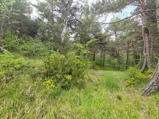  Terrain � vendre 2578 m�