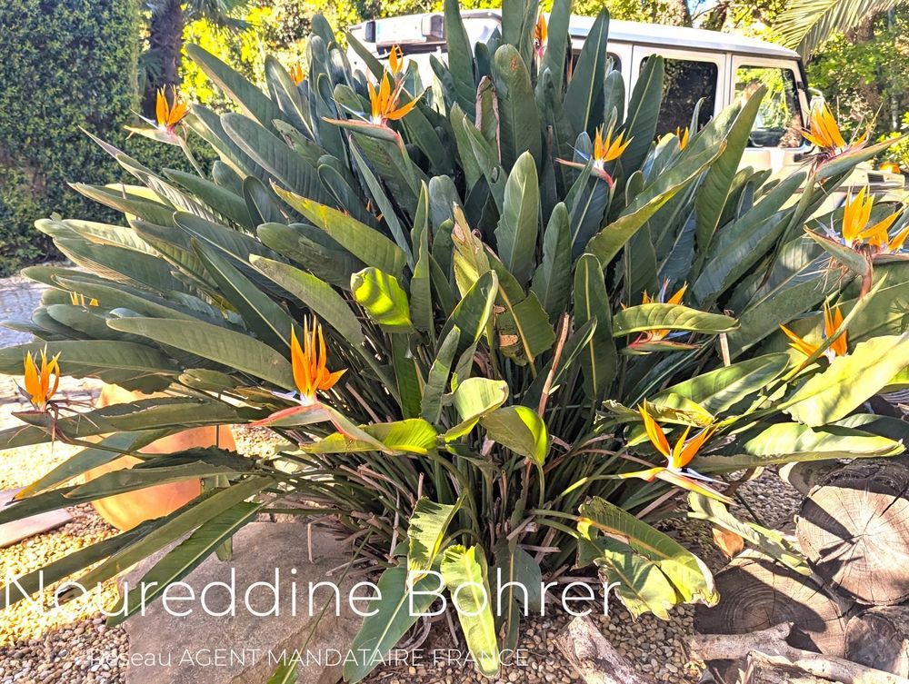 � vendre  Villa Grimaud (83310)