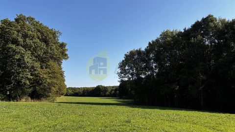   PROPRIETE AGRICOLE MODULABLE SUR 33HA DE PRAIRIES BIO/BOIS ET RI Maison - 8 pi�ce(s) - 165 m�