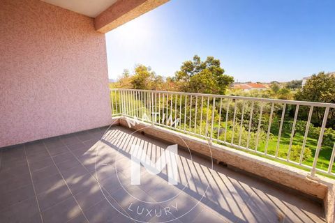   FOLELLI - Charmant T2 avec terrasse et parking Appartement - 2 pi�ce(s) - 42 m�