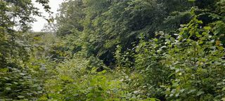  Terrain � vendre 886 m�