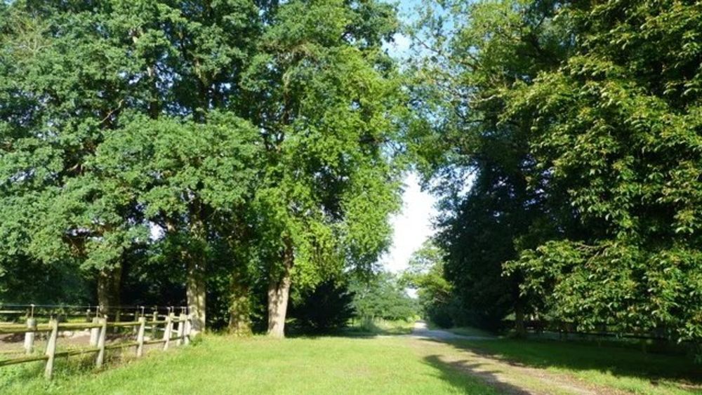 � vendre  Maison Villemurlin (45600)