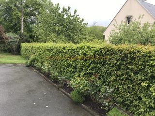  Maison � vendre 3 pi�ces 91 m�