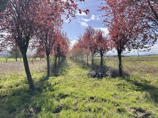  Maison � vendre 5 pi�ces 150 m�