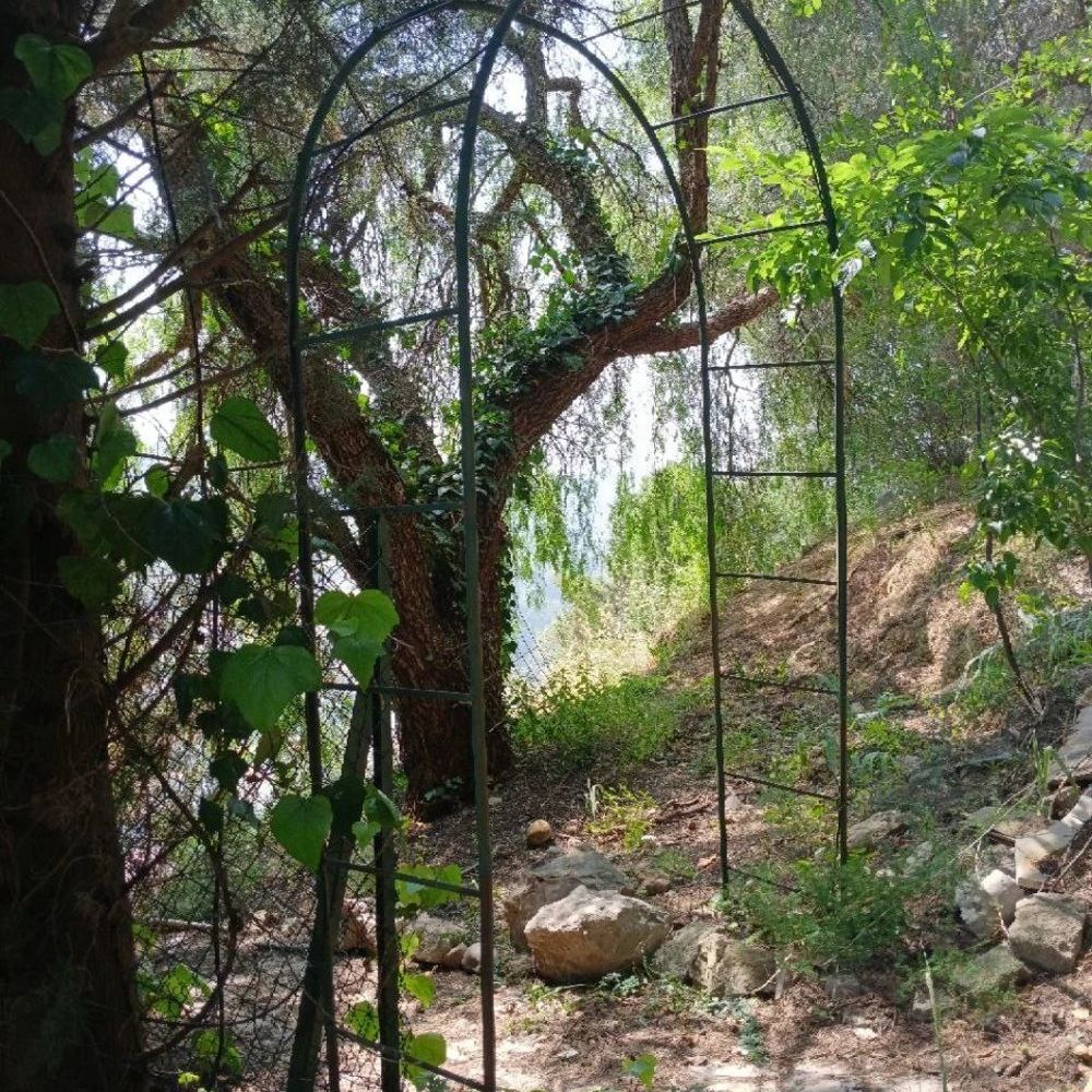 � vendre  Maison Nice (06000)