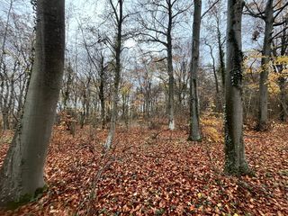  Terrain � vendre 108475 m�