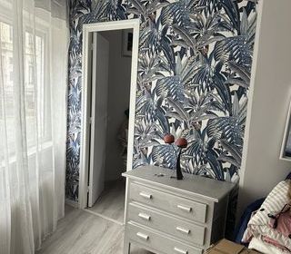  Appartement � louer 3 pi�ces 65 m�