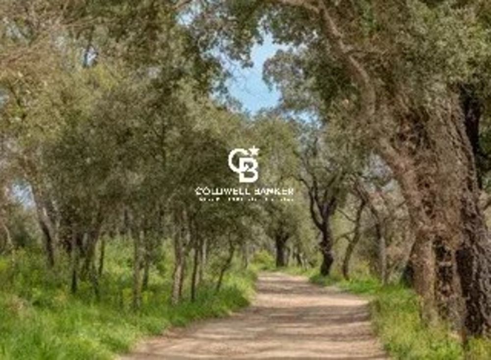 � vendre  Maison Cogolin (83310)