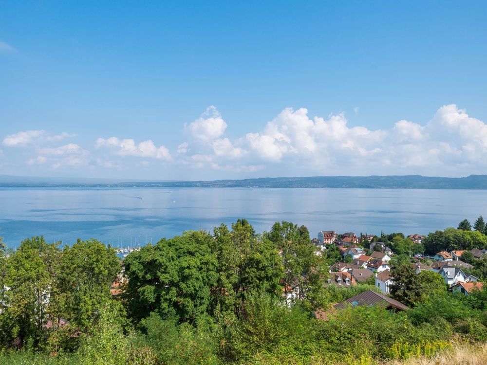 � vendre  Appartement Neuvecelle (74500)