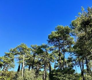  Maison � vendre 4 pi�ces 170 m�