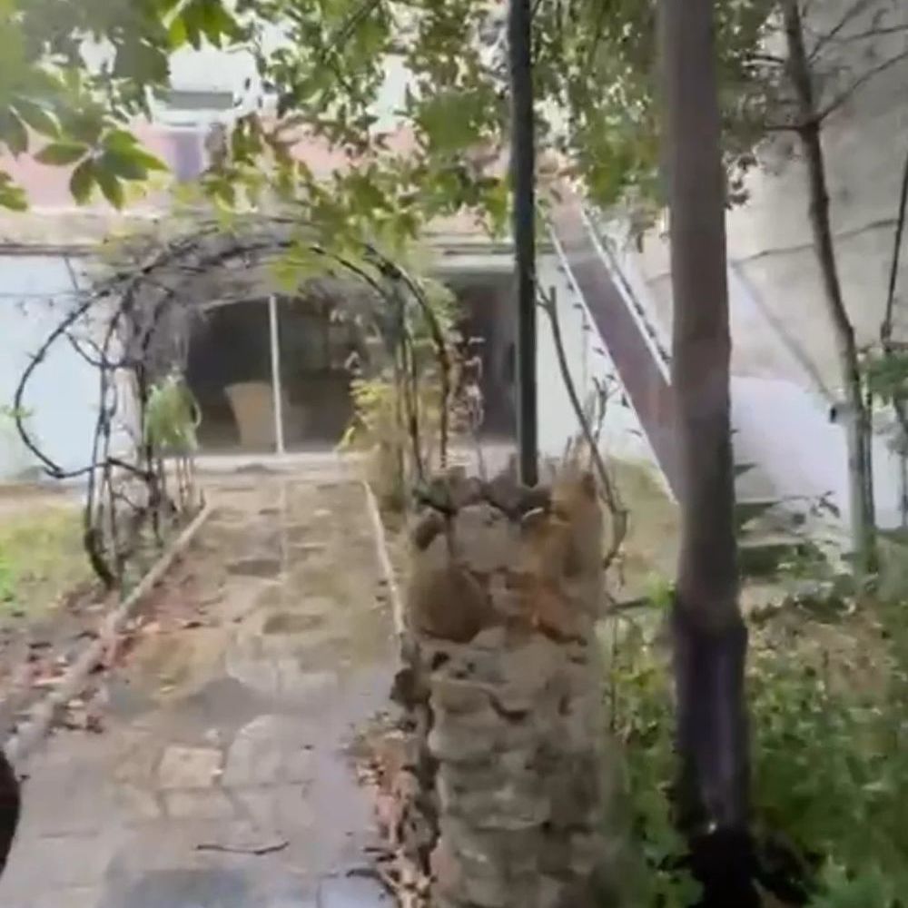 � vendre  Villa Courbevoie (92400)