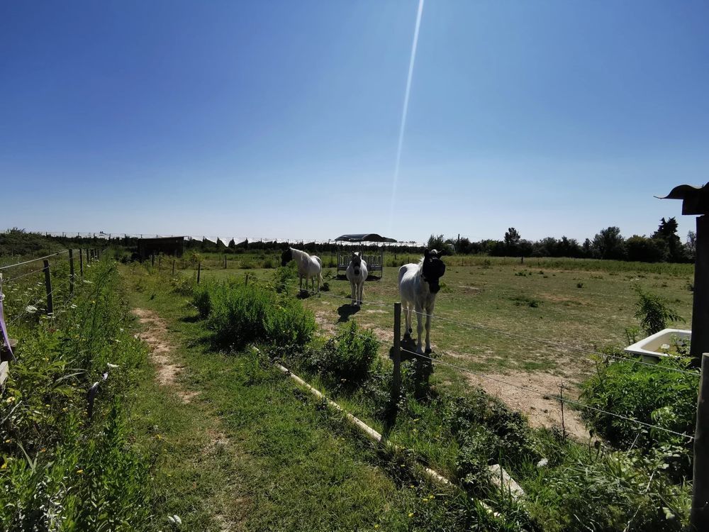 � vendre  Maison Beaucaire (30300)