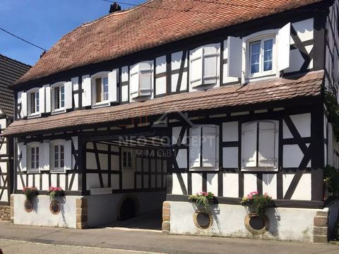   Charmant appartement 2 pi�ces au coeur du village de Hoffen Appartement - 2 pi�ce(s) - 40 m�