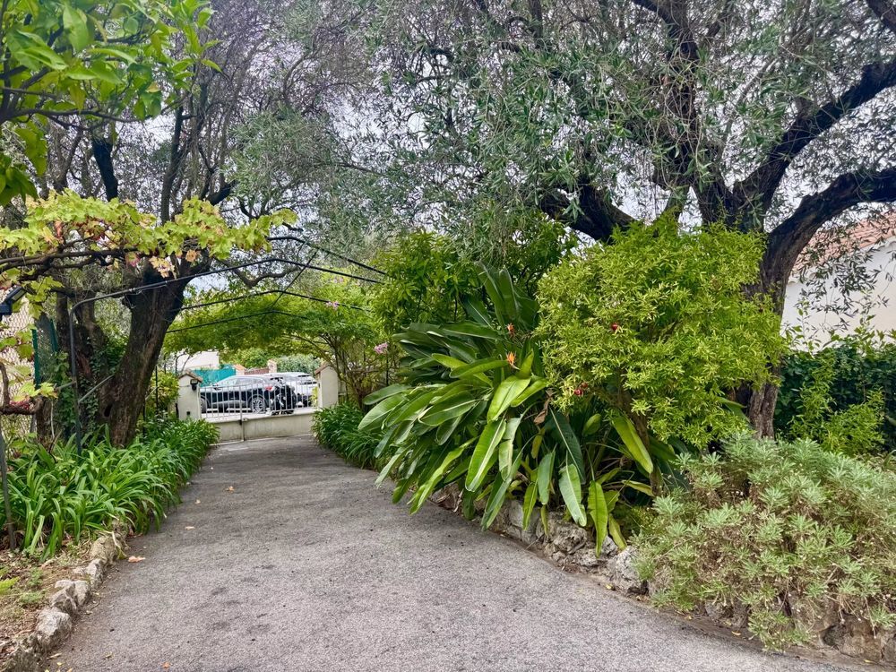 � vendre  Maison Le Cannet (06110)