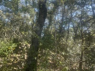  Terrain � vendre 10411 m�