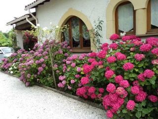  Appartement � louer 1 pi�ce 22 m�