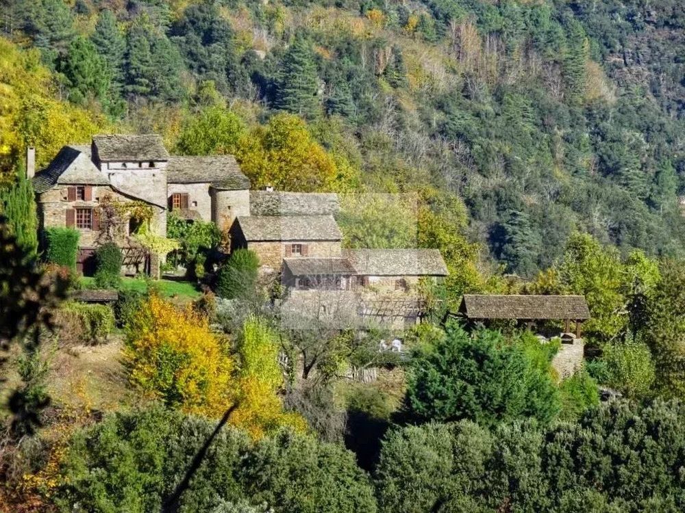 � vendre  Maison Saint-Germain-de-Calberte (48370)