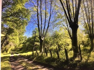  Maison � vendre 7 pi�ces 193 m�