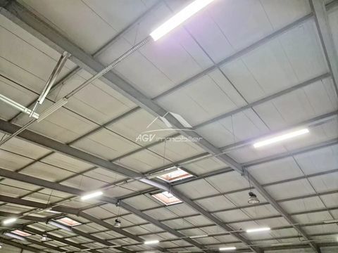 Local commercial 1600000 30100 Al�s