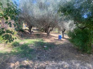  Maison � vendre 7 pi�ces 245 m�