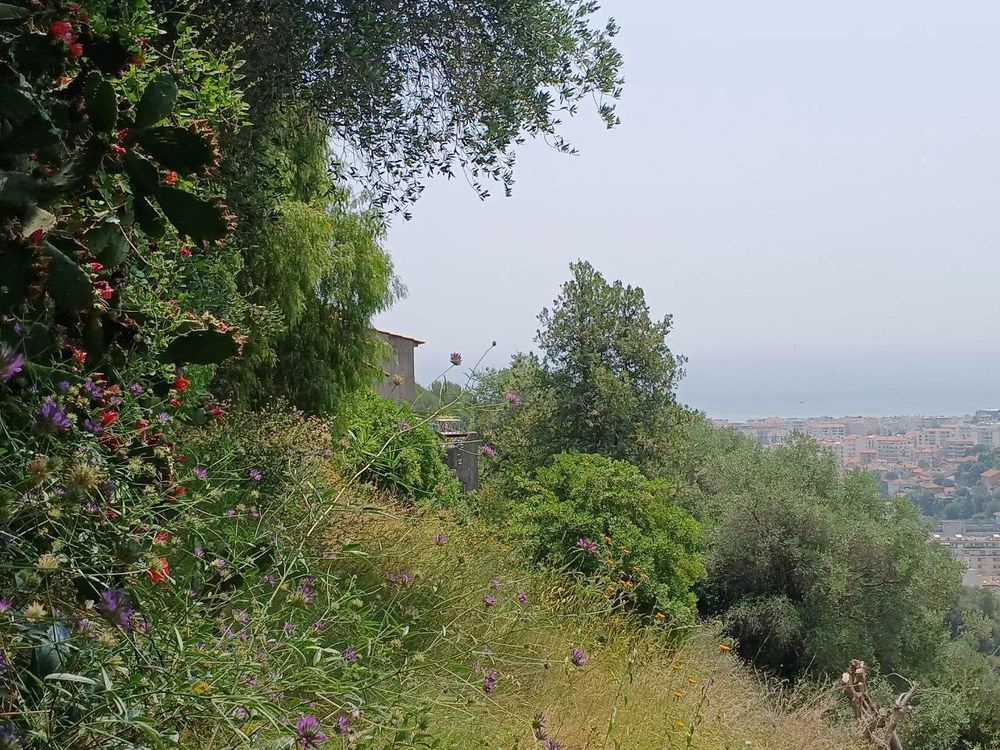 � vendre  Maison Nice (06000)