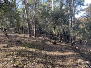  Terrain � vendre 3005 m�