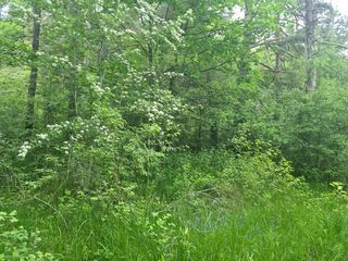  Terrain � vendre 1896 m�