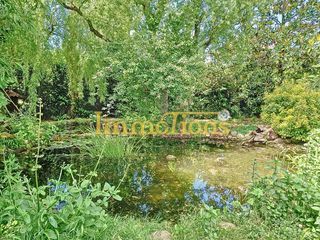  Maison � vendre 5 pi�ces 243 m�