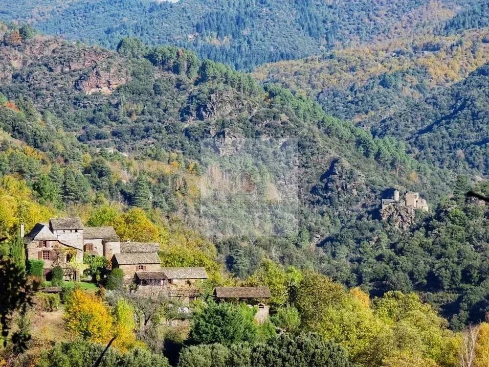 � vendre  Maison Saint-Germain-de-Calberte (48370)