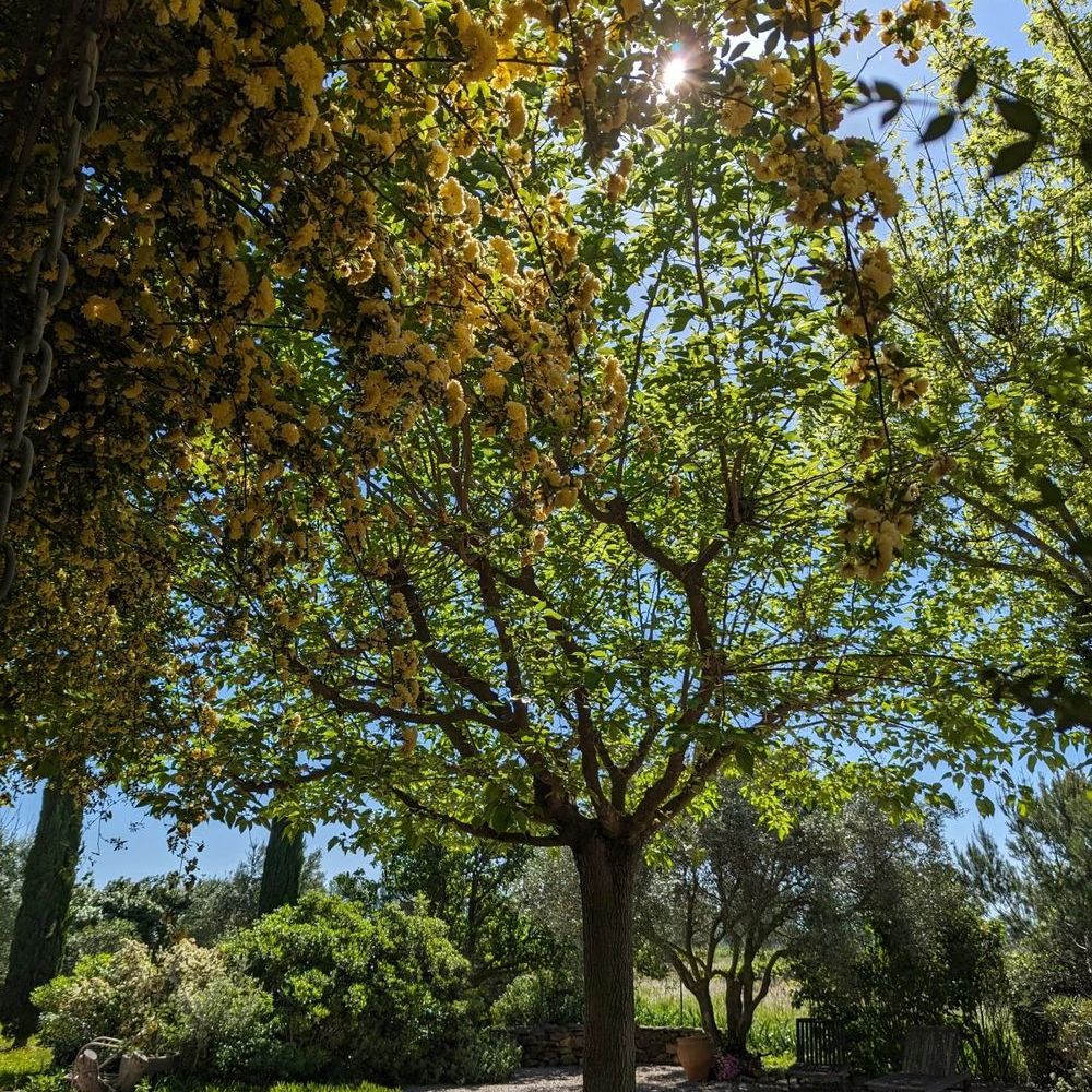 � vendre  Maison Orange (84100)