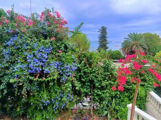  Maison � vendre 10 pi�ces 225 m�