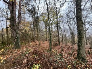  Terrain � vendre 108475 m�