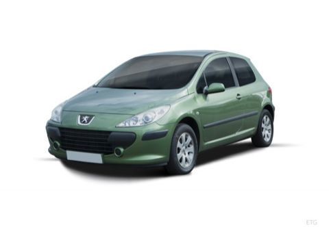Peugeot 307 V�hicule de soci�t� 2005