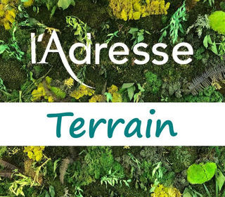  Terrain � vendre 736 m�