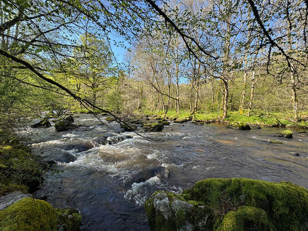 � vendre  Villa Chavanat (23250)