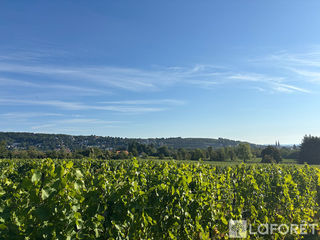  Terrain � vendre 446 m�