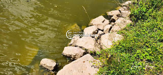  Terrain � vendre 1 pi�ce 10000 m�