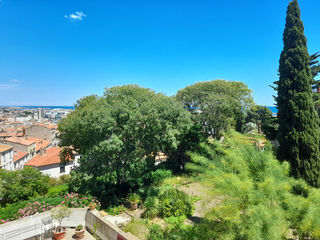  Appartement � louer 2 pi�ces 