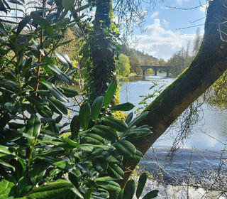  Maison � vendre 9 pi�ces 235 m�