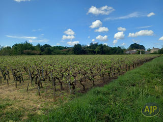  Terrain � vendre 11865 m�