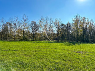  Terrain � vendre 1248 m�