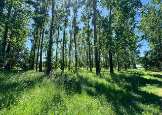  Maison � vendre 6 pi�ces 120 m�