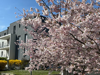  Appartement � vendre 3 pi�ces 66 m�