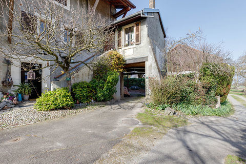   Maison Massongy 5 pi�ces 208 m� � r�nover Maison - 5 pi�ce(s) - 208 m�