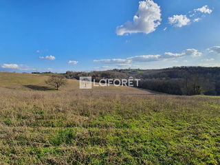  Terrain � vendre 66456 m�