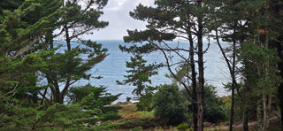  Appartement � vendre 2 pi�ces 26 m�