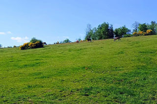  Maison � vendre 5 pi�ces 162 m�